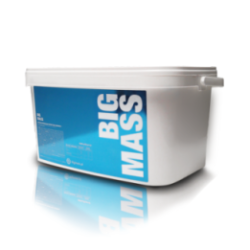 Trec Big Mass 6000g