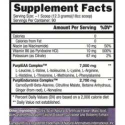 Controlled Labs Purple Wraath 1108g 2