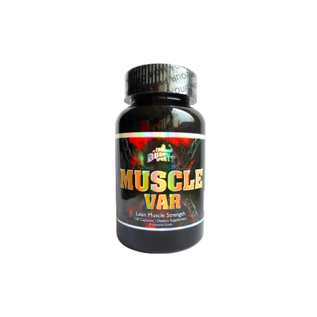 Burneika Sports Muscle Var 120 kaps.