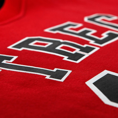Trec Wear Sweatshirt 009 Red