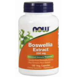 Now Foods Boswellia Extract 250mg 120 vcaps.