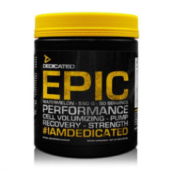 Dedicated Epic v2 550g